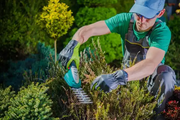 landscaping services Inwood